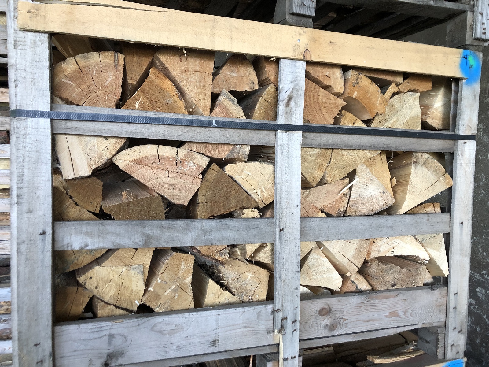 mekke drevo IMG 8720