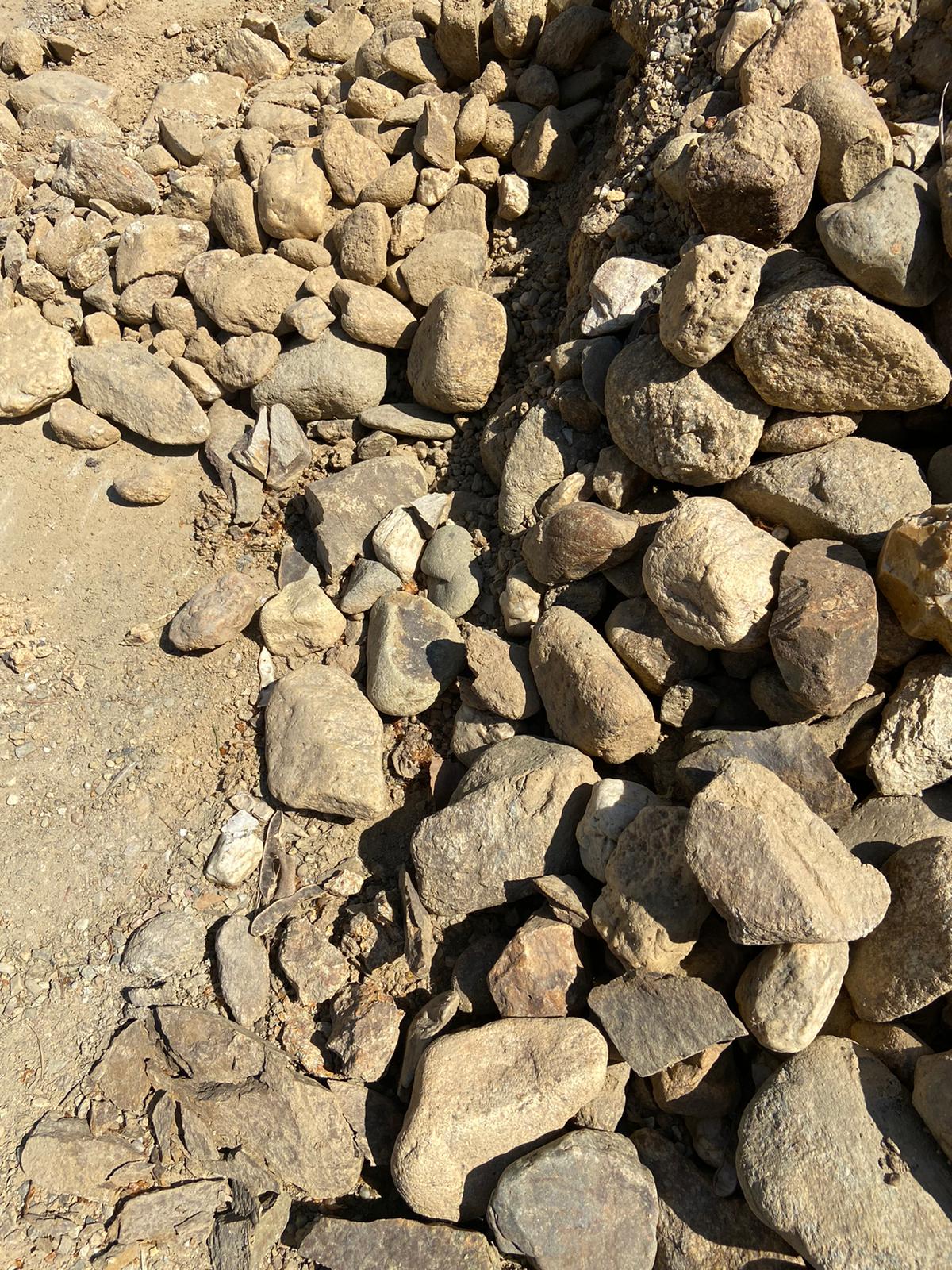 Kacirek 32 125 zluty